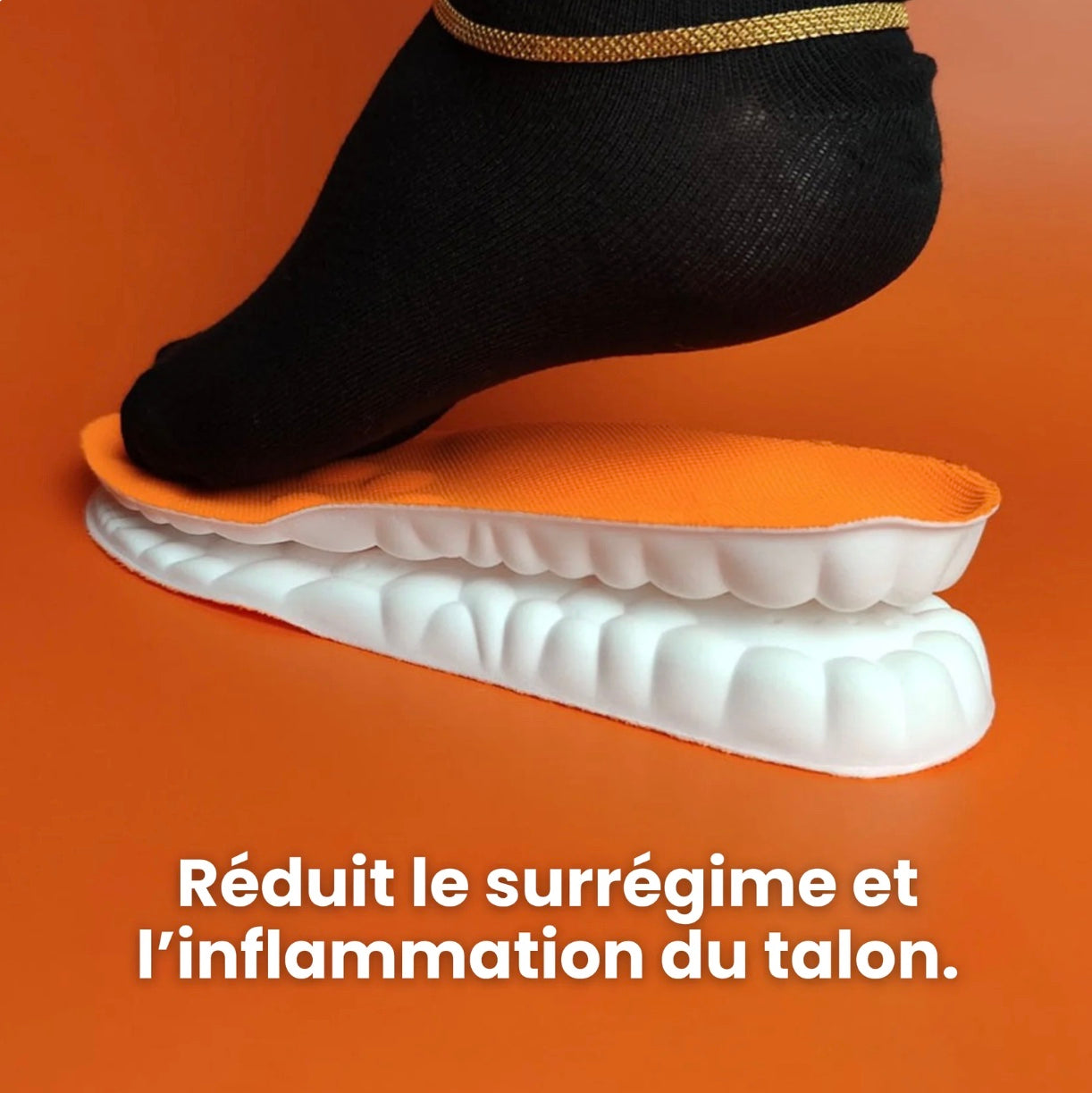 Kit FlexRollMotion - L'idéal pour vous